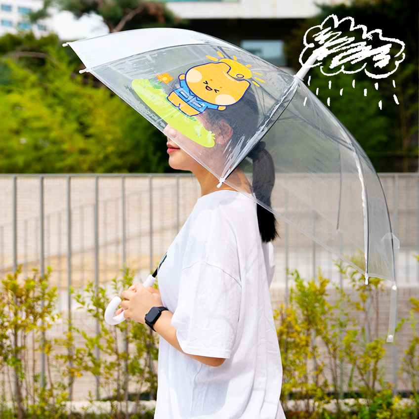 KakaoTalk_20250804_093051683_01